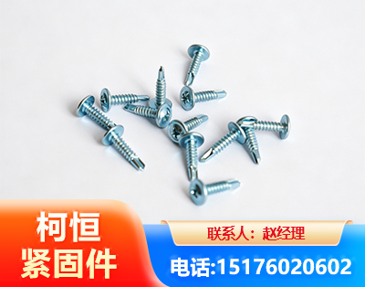 黔南华司钻尾丝