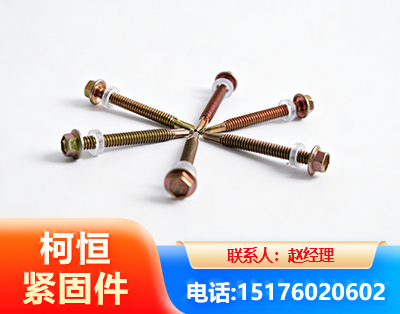 黔南六角钻尾丝